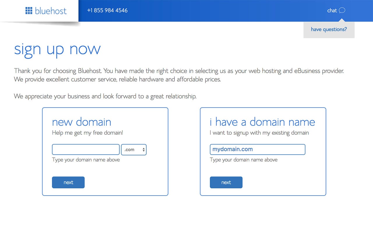 Bluehost Domain Name Option